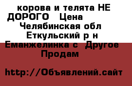 корова и телята НЕ ДОРОГО › Цена ­ 15 000 - Челябинская обл., Еткульский р-н, Еманжелинка с. Другое » Продам   